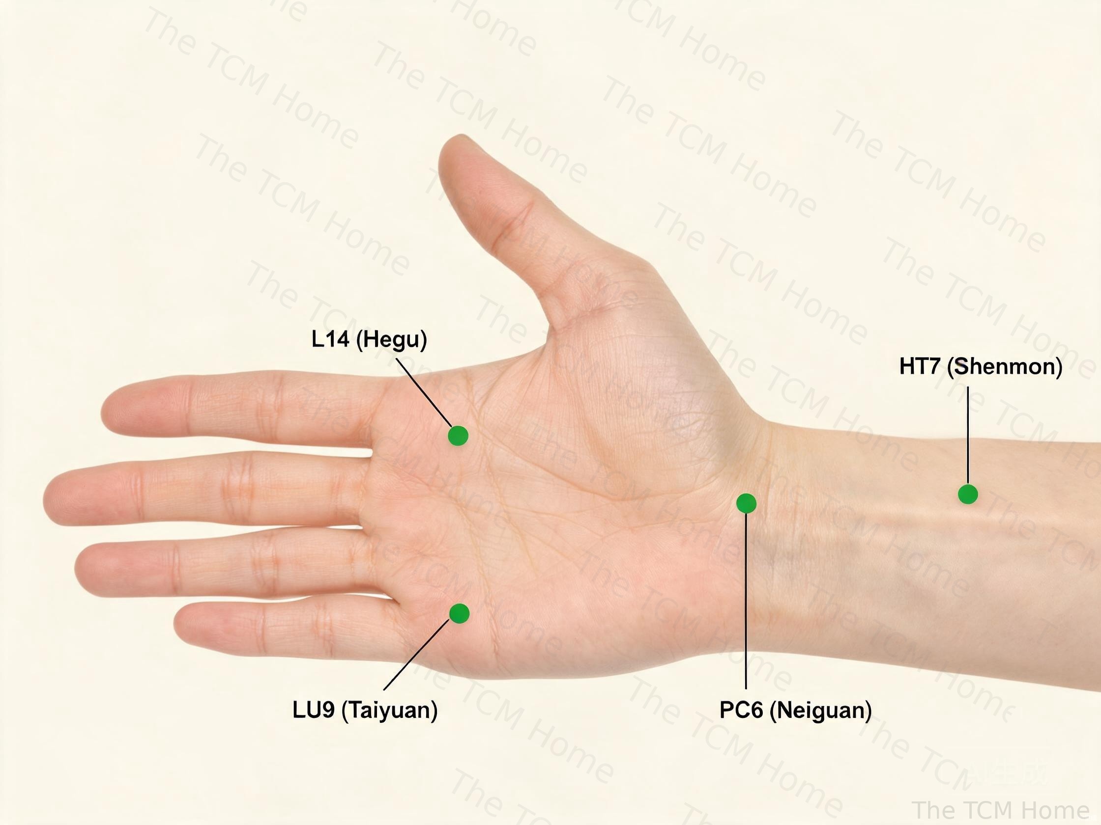 Acupressure points on the hand and arm: LI4 Hegu, PC6 Neiguan, HT7 Shenmen