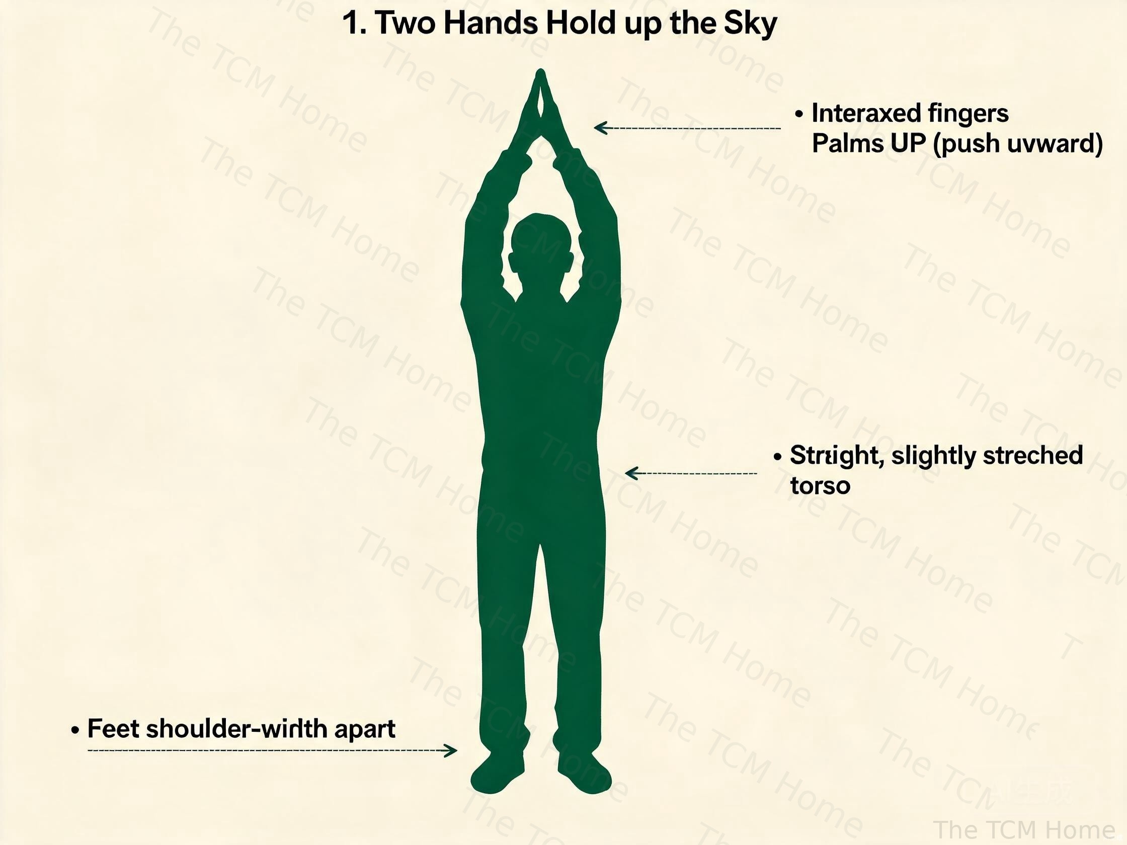 Eight Brocades Qigong first movement: Two Hands Hold up the Sky