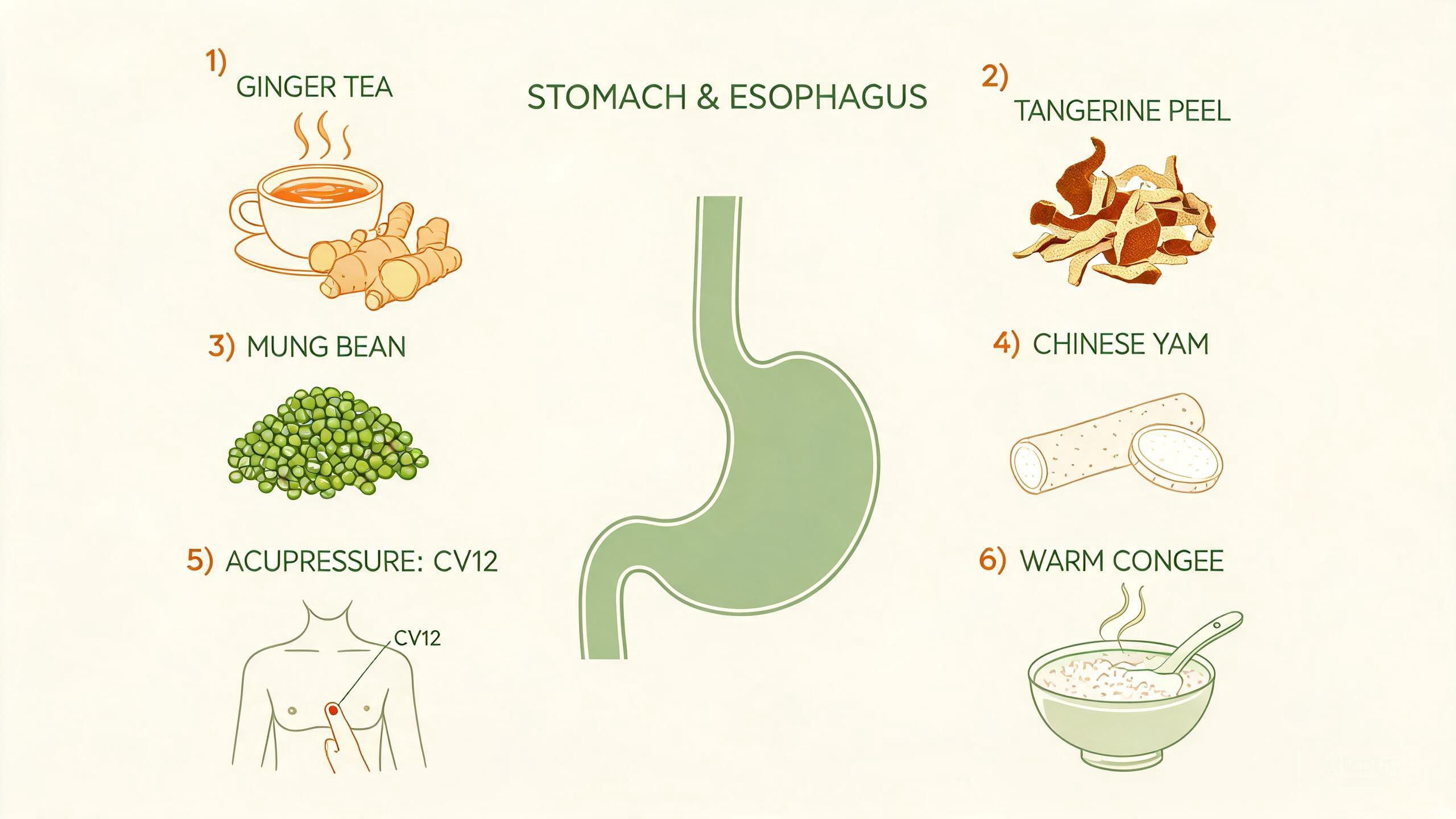 TCM food therapy ingredients for acid reflux including Chinese yam, ginger, tangerine peel, cabbage, and honey arranged on a wooden surface